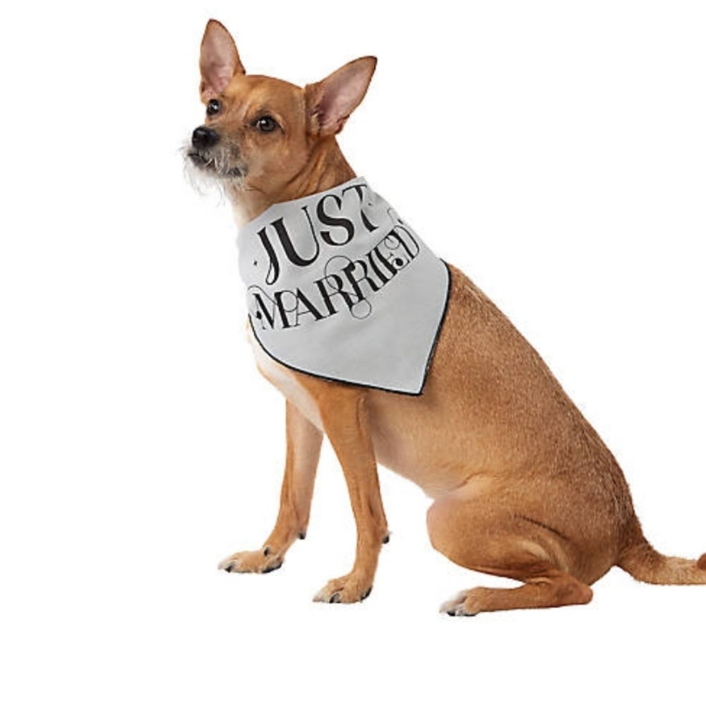 Engaged- Just Married Reversible Dog Bandana